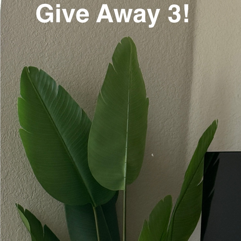 Green Leaf Wall Decor